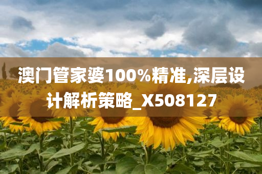 澳门管家婆100%精准,深层设计解析策略_X508127