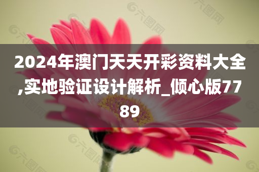 2024年澳门天天开彩资料大全,实地验证设计解析_倾心版7789