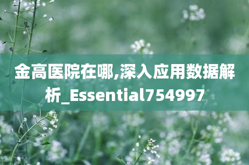 金高医院在哪,深入应用数据解析_Essential754997