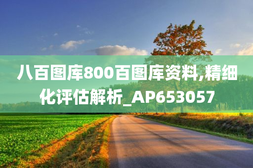 八百图库800百图库资料,精细化评估解析_AP653057