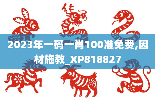 2023年一码一肖100准免费,因材施教_XP818827