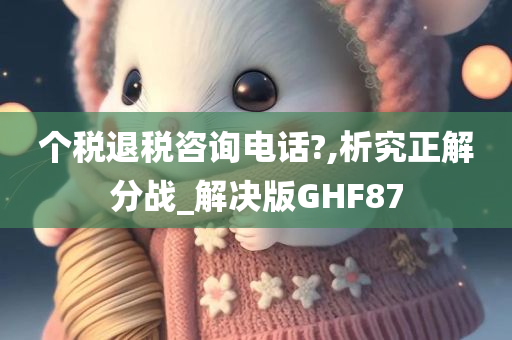 个税退税咨询电话?,析究正解分战_解决版GHF87