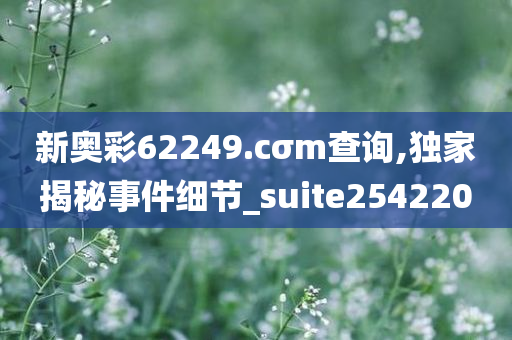 新奥彩62249.cσm查询,独家揭秘事件细节_suite254220