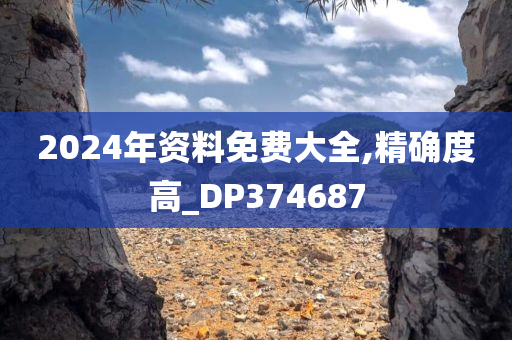 2024年资料免费大全,精确度高_DP374687