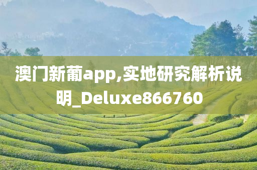 澳门新葡app,实地研究解析说明_Deluxe866760