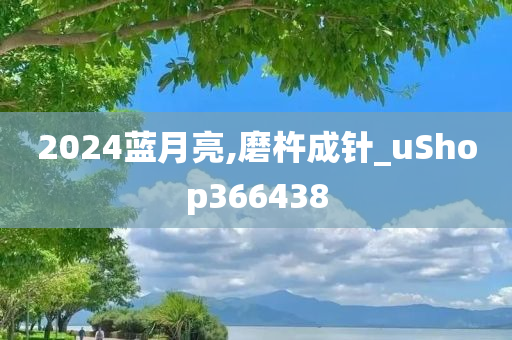 2024蓝月亮,磨杵成针_uShop366438