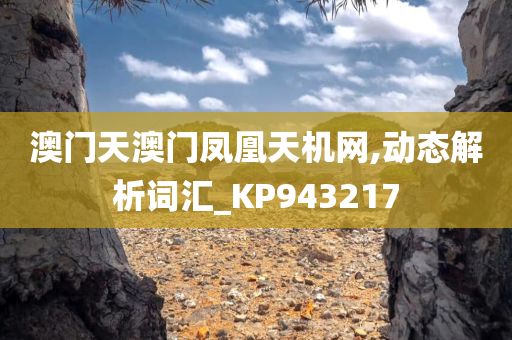 澳门天澳门凤凰天机网,动态解析词汇_KP943217