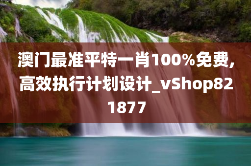 澳门最准平特一肖100%免费,高效执行计划设计_vShop821877