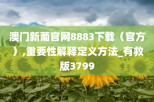 澳门新葡官网8883下载（官方）,重要性解释定义方法_有救版3799