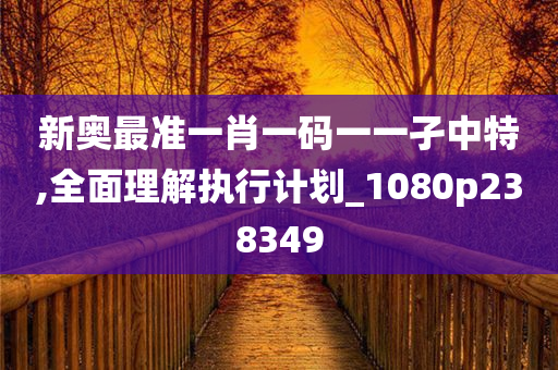 新奥最准一肖一码一一孑中特,全面理解执行计划_1080p238349