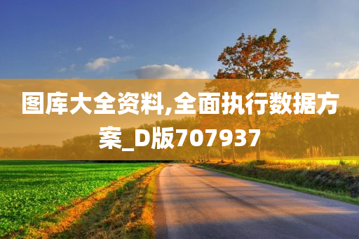 图库大全资料,全面执行数据方案_D版707937