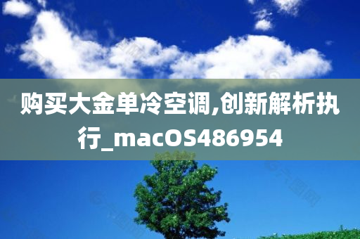 购买大金单冷空调,创新解析执行_macOS486954