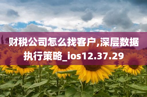 财税公司怎么找客户,深层数据执行策略_ios12.37.29