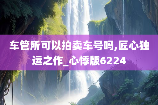 车管所可以拍卖车号吗,匠心独运之作_心悸版6224