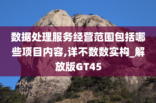 数据处理服务经营范围包括哪些项目内容,详不数数实构_解放版GT45