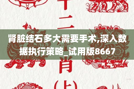 肾脏结石多大需要手术,深入数据执行策略_试用版8667