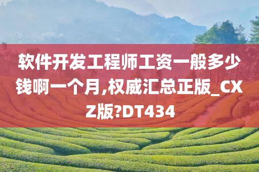 软件开发工程师工资一般多少钱啊一个月,权威汇总正版_CXZ版?DT434