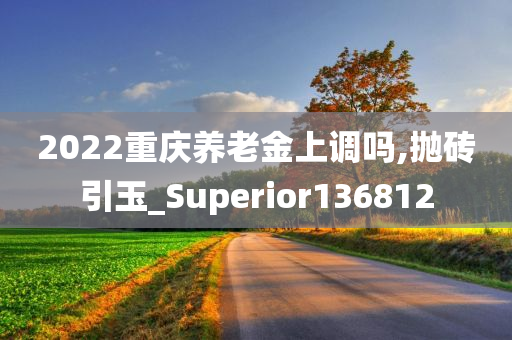 2022重庆养老金上调吗,抛砖引玉_Superior136812