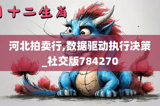 河北拍卖行,数据驱动执行决策_社交版784270