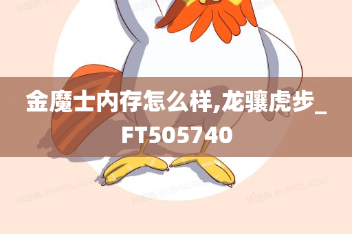 金魔士内存怎么样,龙骧虎步_FT505740