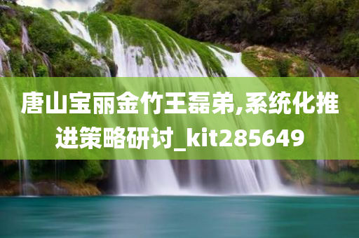 唐山宝丽金竹王磊弟,系统化推进策略研讨_kit285649