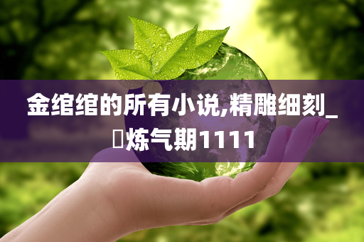 金绾绾的所有小说,精雕细刻_?炼气期1111