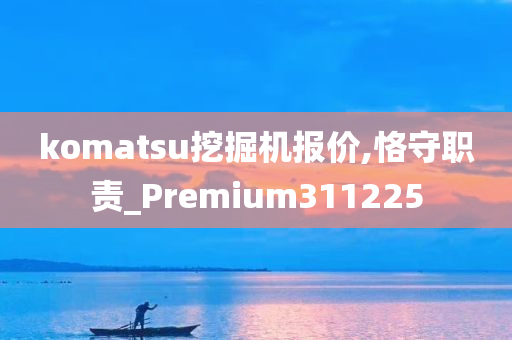 komatsu挖掘机报价,恪守职责_Premium311225