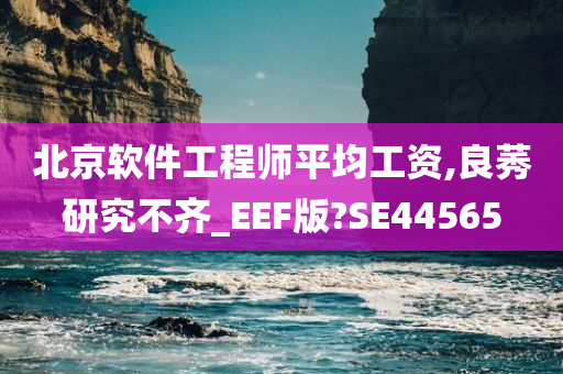 北京软件工程师平均工资,良莠研究不齐_EEF版?SE44565