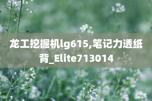 龙工挖掘机lg615,笔记力透纸背_Elite713014