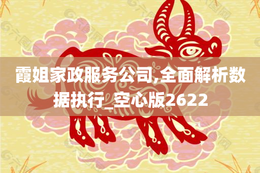 霞姐家政服务公司,全面解析数据执行_空心版2622