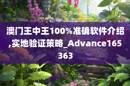 澳门王中王100%准确软件介绍,实地验证策略_Advance165363