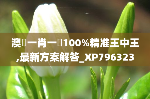 澳門一肖一碼100%精准王中王,最新方案解答_XP796323