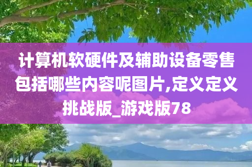 计算机软硬件及辅助设备零售包括哪些内容呢图片,定义定义挑战版_游戏版78