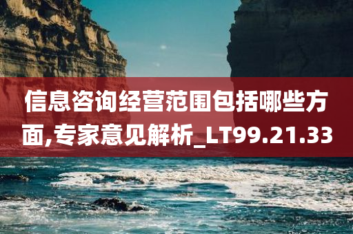 信息咨询经营范围包括哪些方面,专家意见解析_LT99.21.33