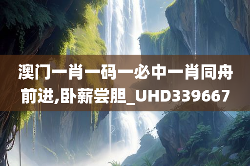 澳门一肖一码一必中一肖同舟前进,卧薪尝胆_UHD339667