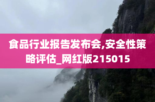 食品行业报告发布会,安全性策略评估_网红版215015