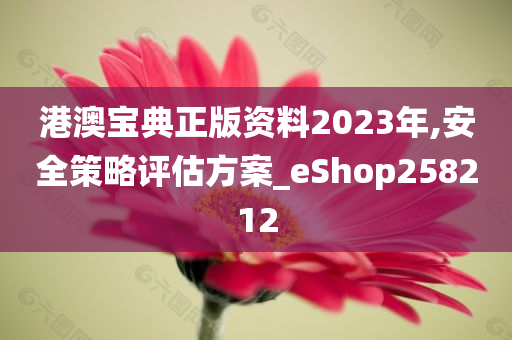 港澳宝典正版资料2023年,安全策略评估方案_eShop258212