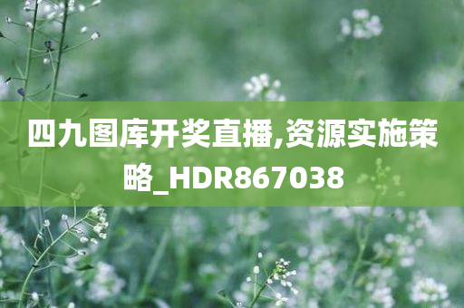 四九图库开奖直播,资源实施策略_HDR867038