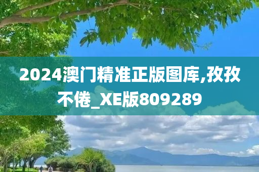 2024澳门精准正版图库,孜孜不倦_XE版809289