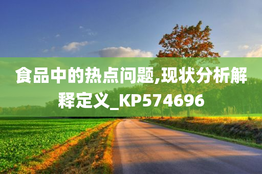 食品中的热点问题,现状分析解释定义_KP574696