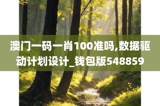 澳门一码一肖100准吗,数据驱动计划设计_钱包版548859