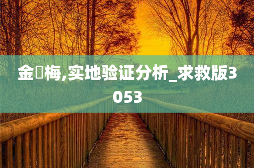 金艵梅,实地验证分析_求救版3053