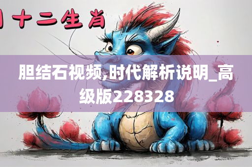 胆结石视频,时代解析说明_高级版228328