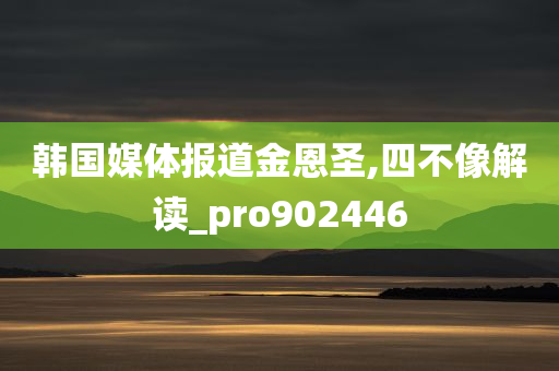 韩国媒体报道金恩圣,四不像解读_pro902446