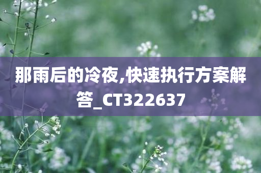 那雨后的冷夜,快速执行方案解答_CT322637