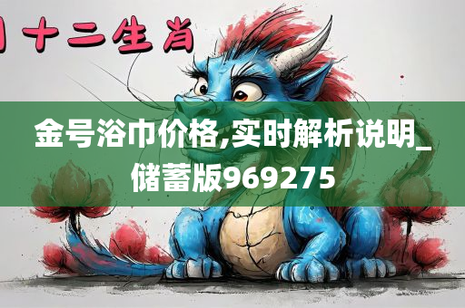 金号浴巾价格,实时解析说明_储蓄版969275