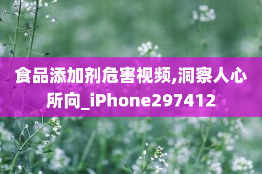 食品添加剂危害视频,洞察人心所向_iPhone297412