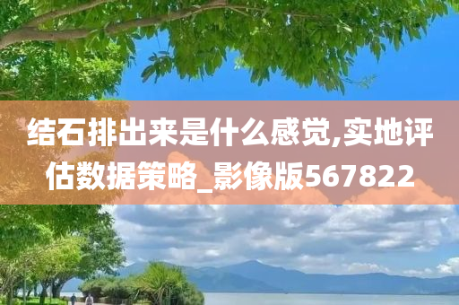 结石排出来是什么感觉,实地评估数据策略_影像版567822