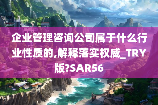 企业管理咨询公司属于什么行业性质的,解释落实权威_TRY版?SAR56