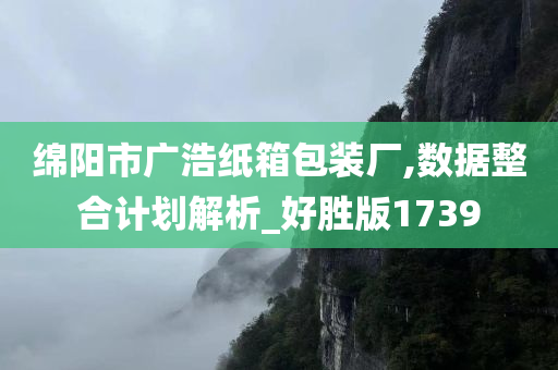 绵阳市广浩纸箱包装厂,数据整合计划解析_好胜版1739